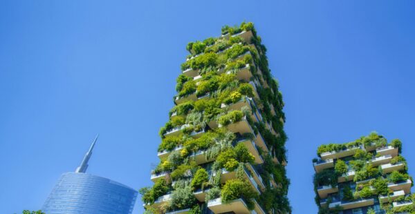 Sustainability In European VC: A Limited Partner’s View